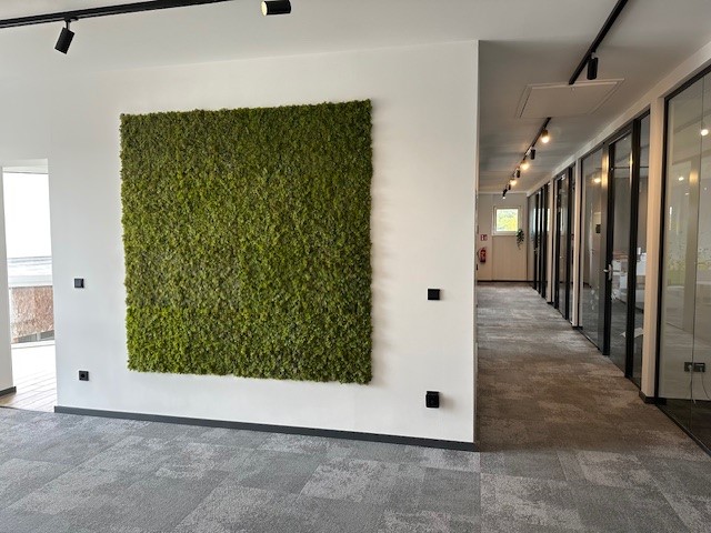 Moos-Wand im Büro von Systemhaus Erdmann
